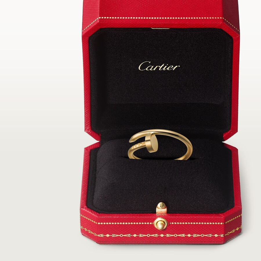 juste un clou ring kleines modell