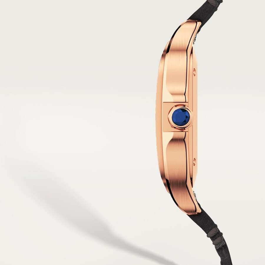 santos de cartier uhr