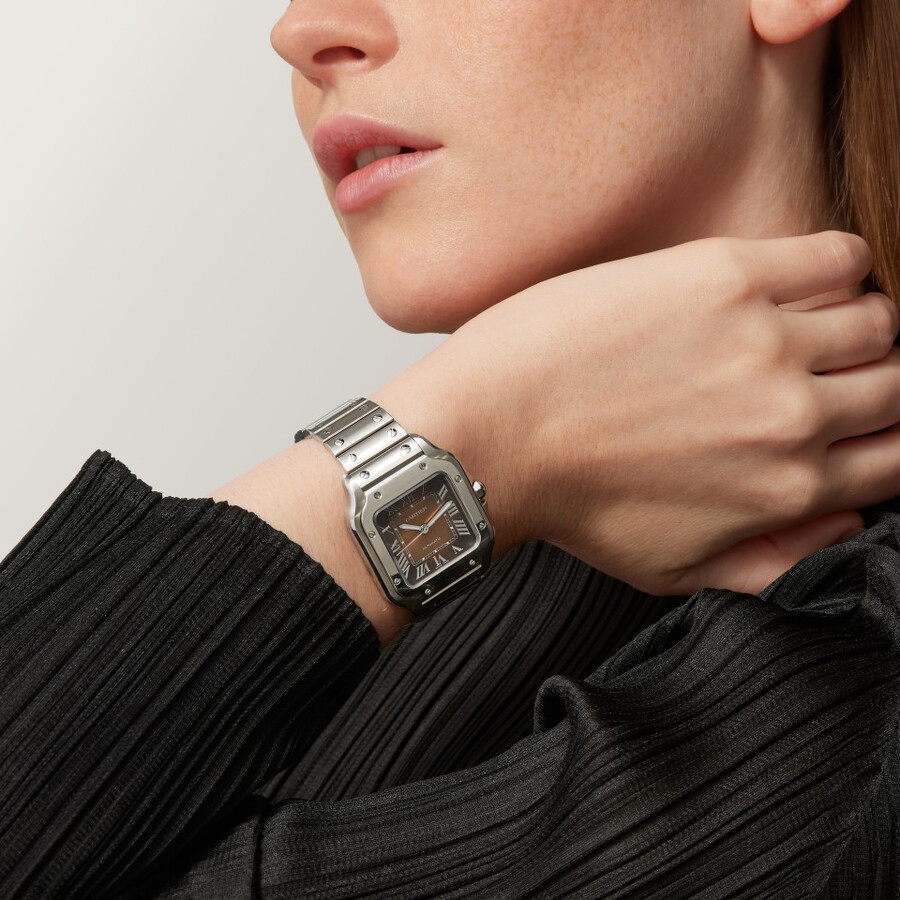 santos de cartier uhr